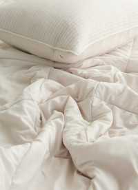 이미지를 찾을 수 없습니다.