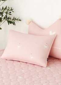 이미지를 찾을 수 없습니다.