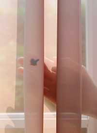 이미지를 찾을 수 없습니다.