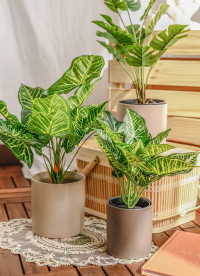 이미지를 찾을 수 없습니다.