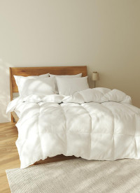 이미지를 찾을 수 없습니다.