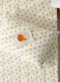 이미지를 찾을 수 없습니다.