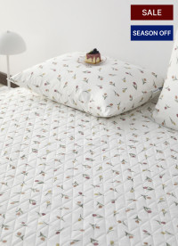 이미지를 찾을 수 없습니다.