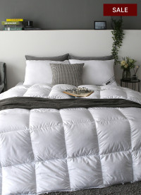 이미지를 찾을 수 없습니다.