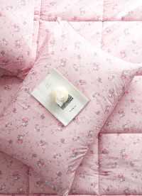 이미지를 찾을 수 없습니다.