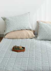 이미지를 찾을 수 없습니다.