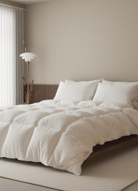 이미지를 찾을 수 없습니다.