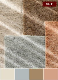 이미지를 찾을 수 없습니다.