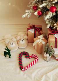 이미지를 찾을 수 없습니다.