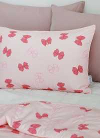 이미지를 찾을 수 없습니다.