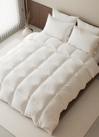 이미지를 찾을 수 없습니다.