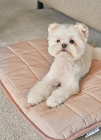 이미지를 찾을 수 없습니다.