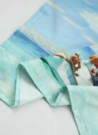 이미지를 찾을 수 없습니다.