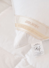 이미지를 찾을 수 없습니다.