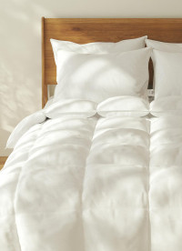 이미지를 찾을 수 없습니다.