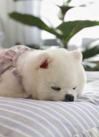 이미지를 찾을 수 없습니다.