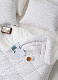 이미지를 찾을 수 없습니다.