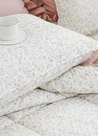 이미지를 찾을 수 없습니다.