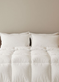 이미지를 찾을 수 없습니다.