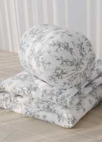 이미지를 찾을 수 없습니다.