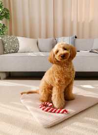 이미지를 찾을 수 없습니다.