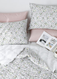 이미지를 찾을 수 없습니다.