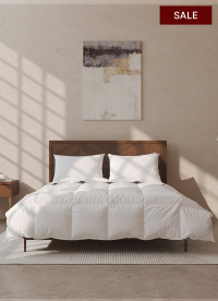 이미지를 찾을 수 없습니다.