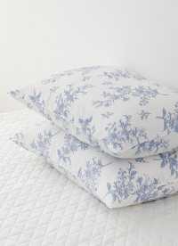 이미지를 찾을 수 없습니다.