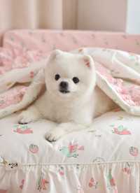 이미지를 찾을 수 없습니다.