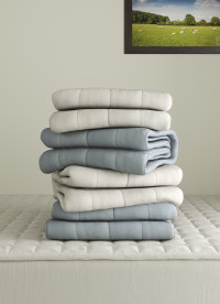 이미지를 찾을 수 없습니다.