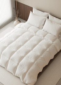 이미지를 찾을 수 없습니다.