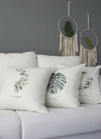 이미지를 찾을 수 없습니다.