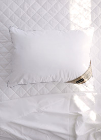 이미지를 찾을 수 없습니다.