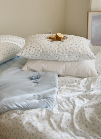 이미지를 찾을 수 없습니다.