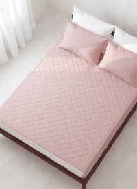 이미지를 찾을 수 없습니다.