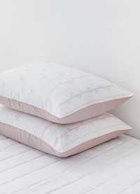 이미지를 찾을 수 없습니다.