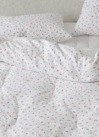 이미지를 찾을 수 없습니다.