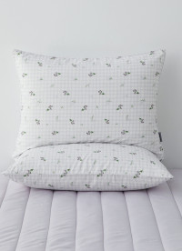 이미지를 찾을 수 없습니다.