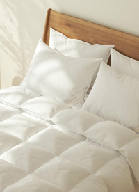 이미지를 찾을 수 없습니다.