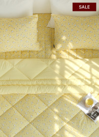 이미지를 찾을 수 없습니다.