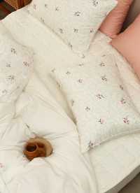 이미지를 찾을 수 없습니다.