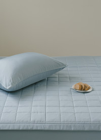 이미지를 찾을 수 없습니다.