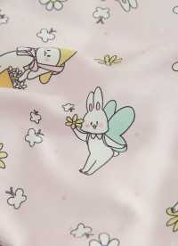 이미지를 찾을 수 없습니다.