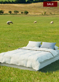 이미지를 찾을 수 없습니다.