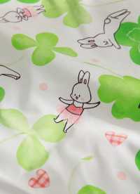 이미지를 찾을 수 없습니다.