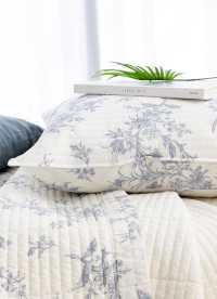 이미지를 찾을 수 없습니다.