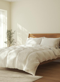 이미지를 찾을 수 없습니다.