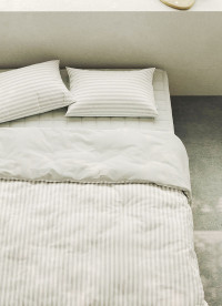 이미지를 찾을 수 없습니다.