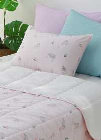 이미지를 찾을 수 없습니다.