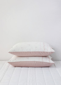 이미지를 찾을 수 없습니다.